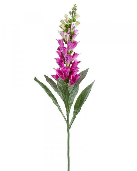 Foxglove Spray 36" Fu