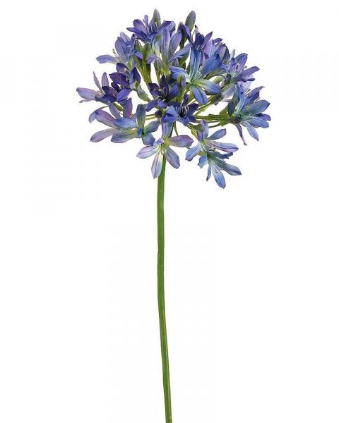Agapanthus Spray 35" Bl/bu