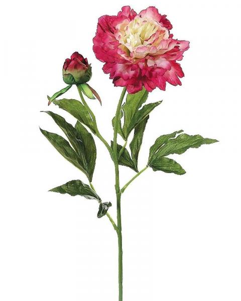 Peony Spray 28" Bt/cr