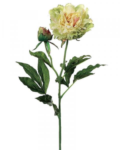 Peony Spray 28" Gr/tt