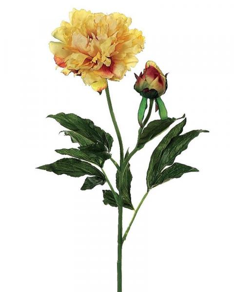 Peony Spray 28" Ye