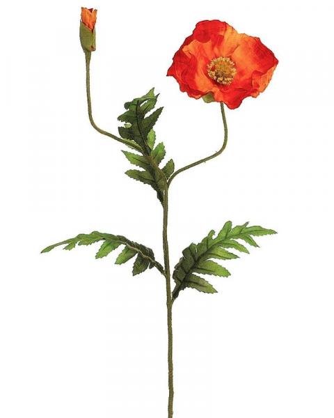 Poppy Spray 28" Ta
