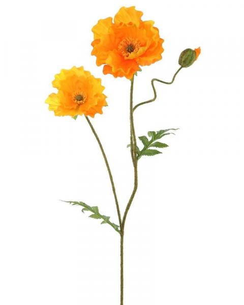 Poppy Spray X2 33" Or