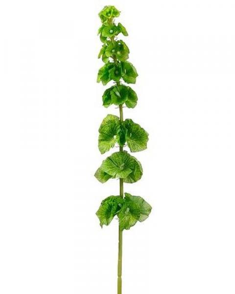 Bells Of Ireland Spray 29" Gr