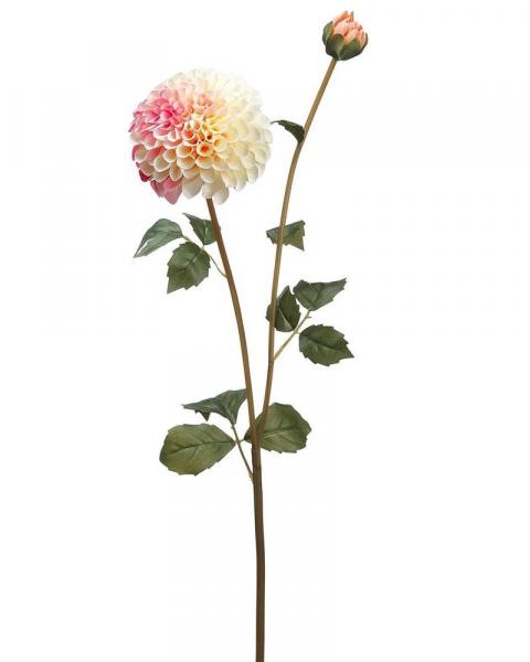 Dahlia Spray 31" Pk/cr
