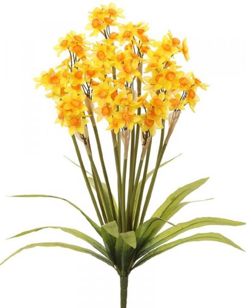 Narcissus Bush 19" Ye
