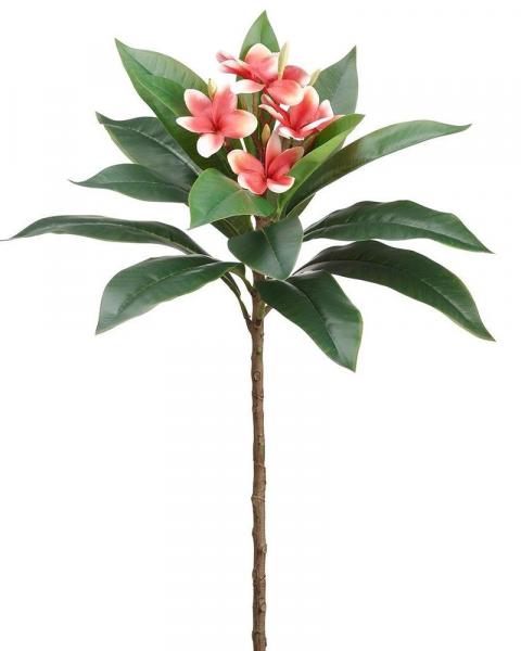 Frangipani Spray 34" Sa