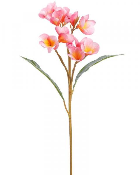 Plumeria Spray 28" Bb