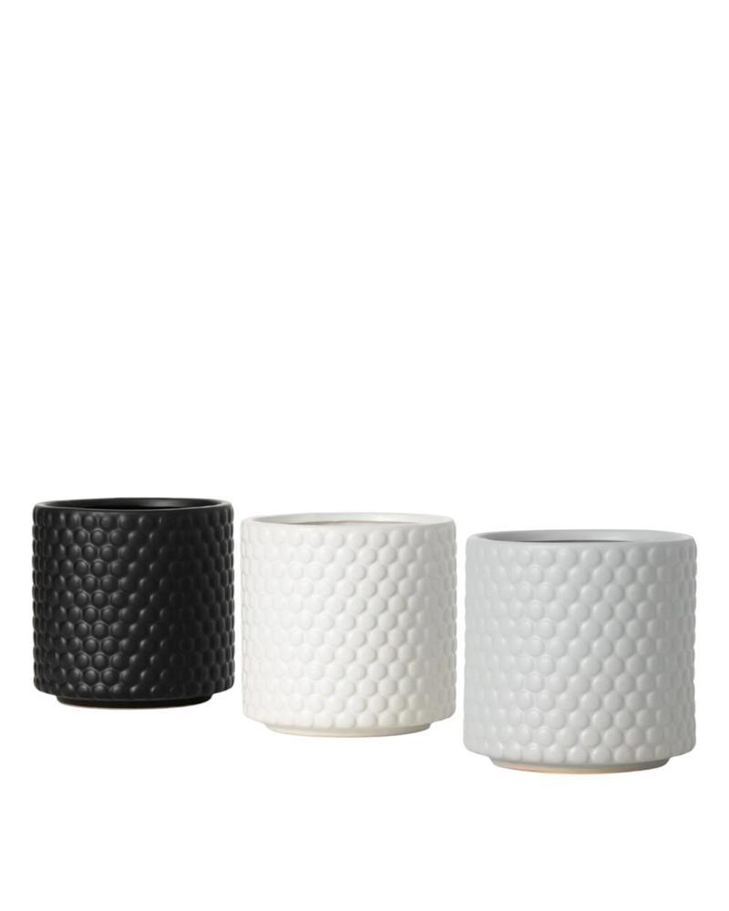 Dot Textured Pot 6" Asst.