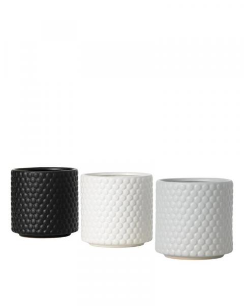 Dot Textured Pot 6" Asst.