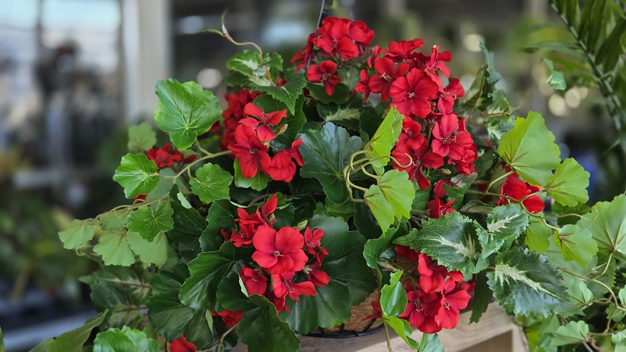 Faux Hanging Baskets