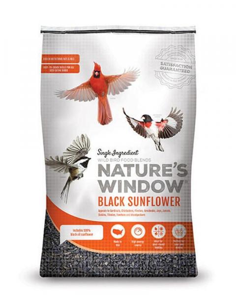 40# Black Oil Sunflower Seed