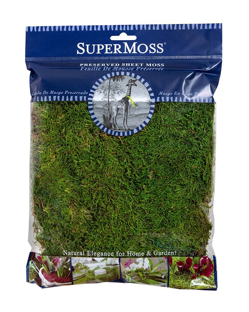 Sheet Moss Preserved 4oz. Fresh Green