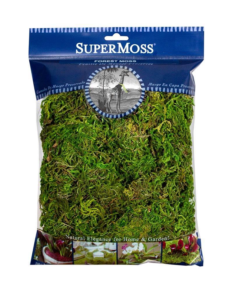 Forest Moss Preserved 4 Oz.