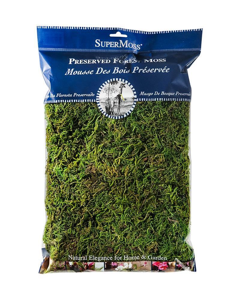 Forest Moss Preserved 8 Oz.
