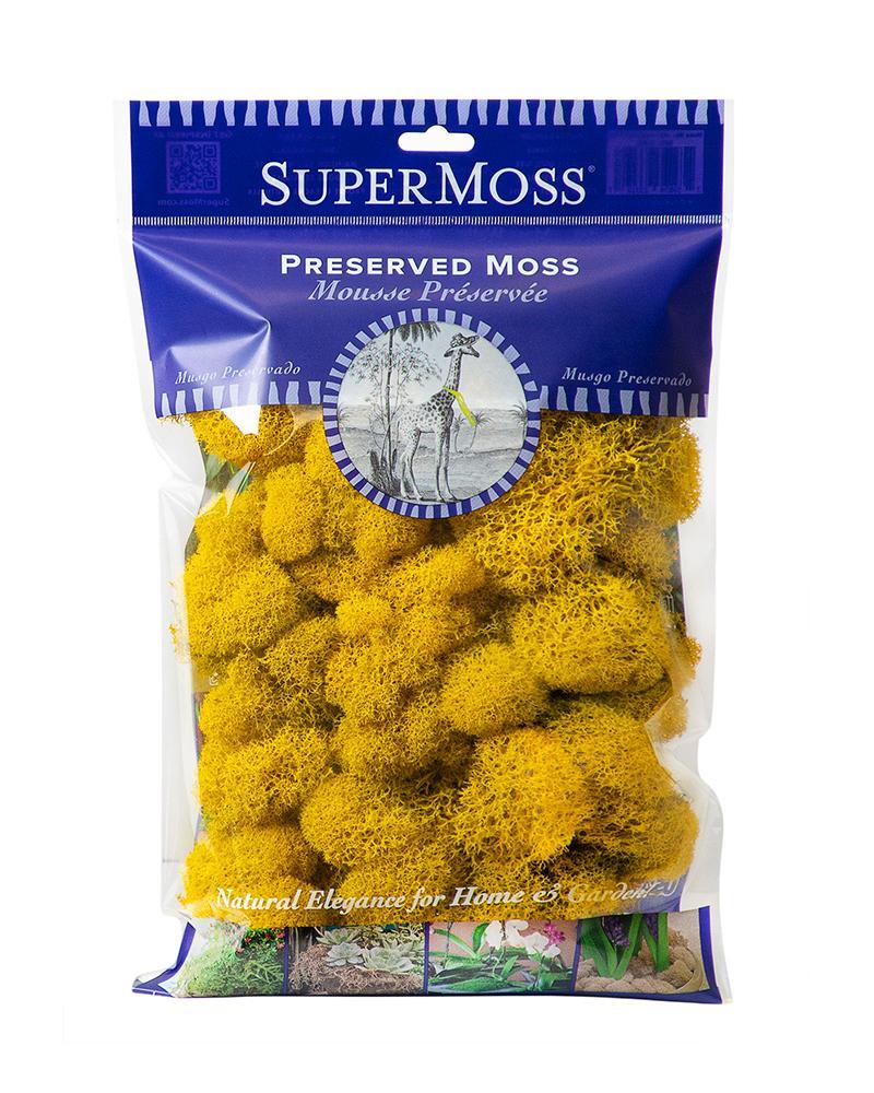 Reindeer Moss 2oz. Sunflower