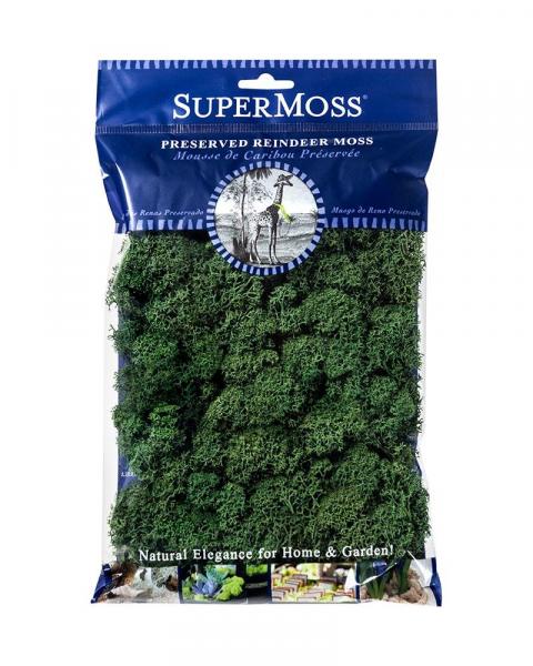 Reindeer Moss 2oz. Forest