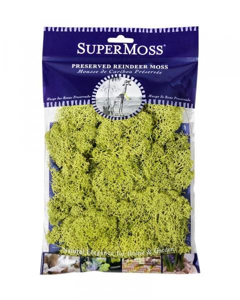 Reindeer Moss 2oz. Chartreuse
