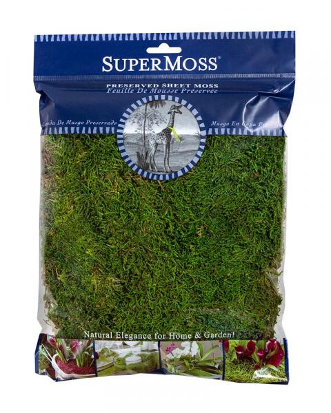 Sheet Moss Preserved 4oz. Fresh Green