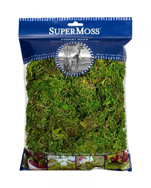 Forest Moss Preserved 4 Oz.