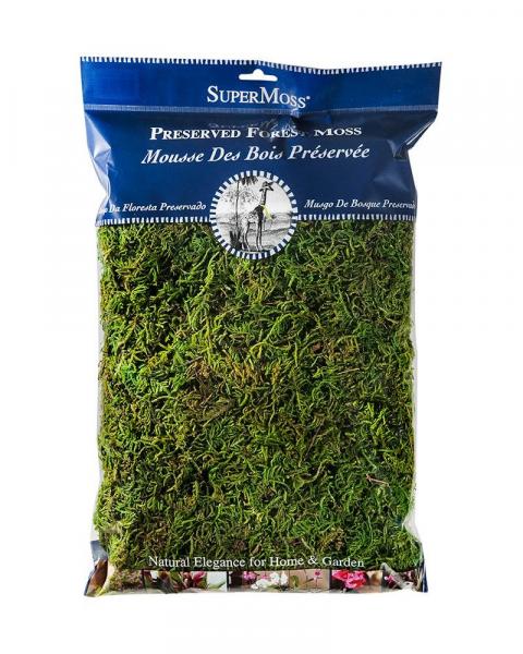 Forest Moss Preserved 8 Oz.