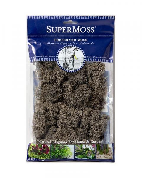 Reindeer Moss 2oz. Cashmere