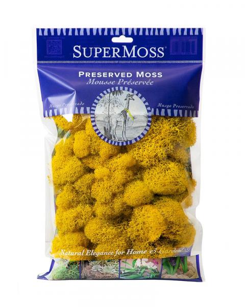 Reindeer Moss 2oz. Sunflower