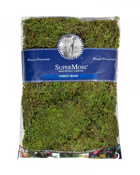 Forest Moss Preserved 16oz.