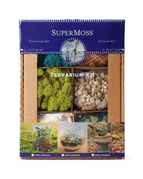 Terrarium Dit Kit Beach
