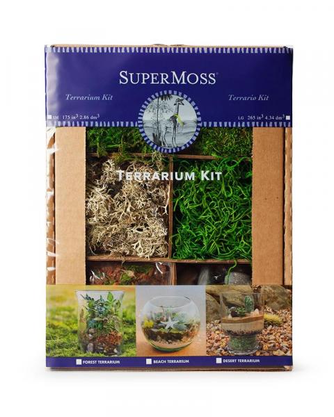 Terrarium Dit Kit Forest