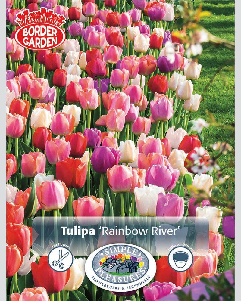 Rainbow River Border 16/pkg