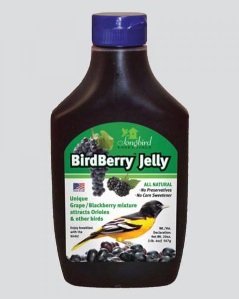 Birdberry Jelly Se6010