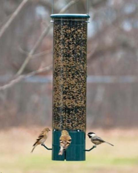 The Magnet Bird Feeder