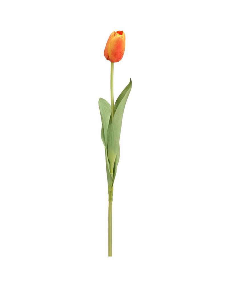 Tulip Spray 26" Or