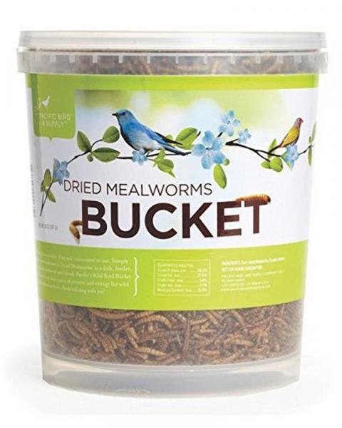 Dried Mealworms Bucket 14oz