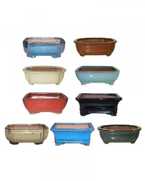 Cactus & Bonsai Pot 6"