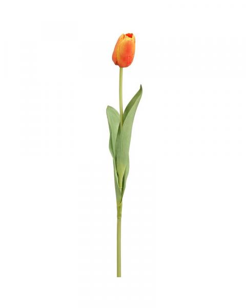 Tulip Spray 26" Or