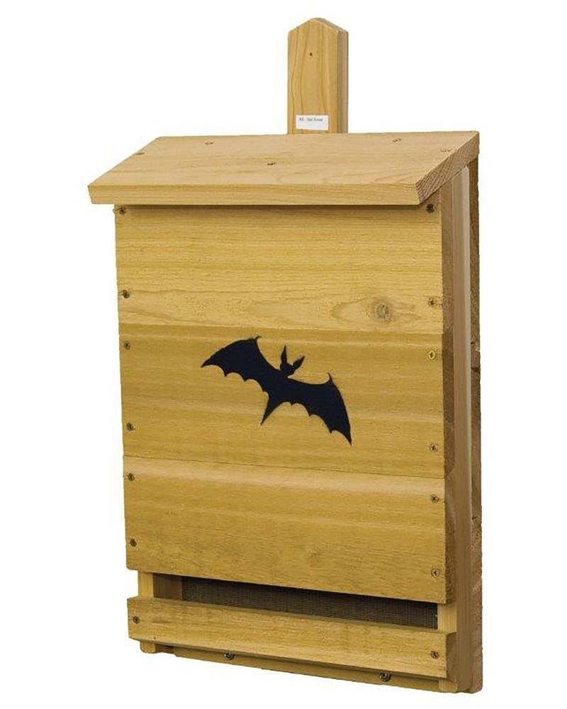 Bat House Single Cell