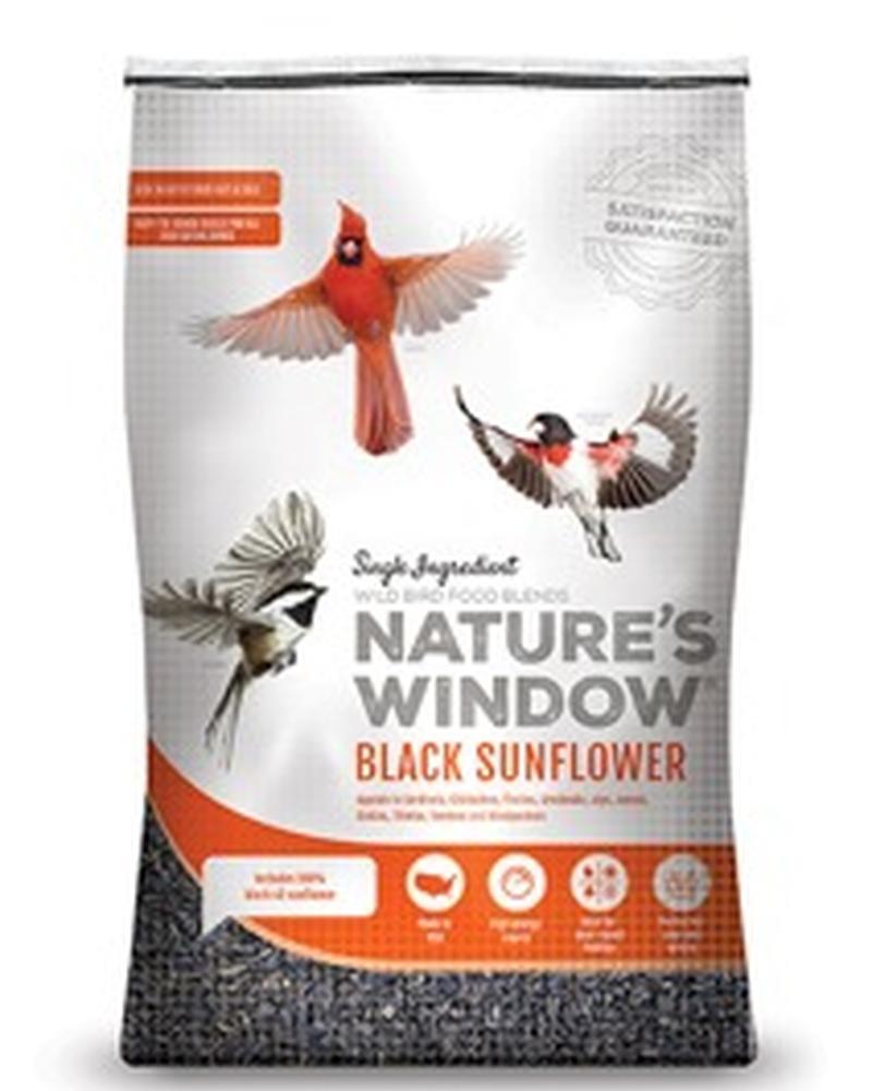 Black Oil Sunflower Seed 20 Lbs.