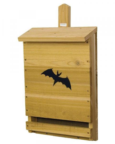 Bat House Single Cell