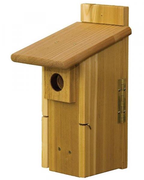 Bluebird Ultimate House