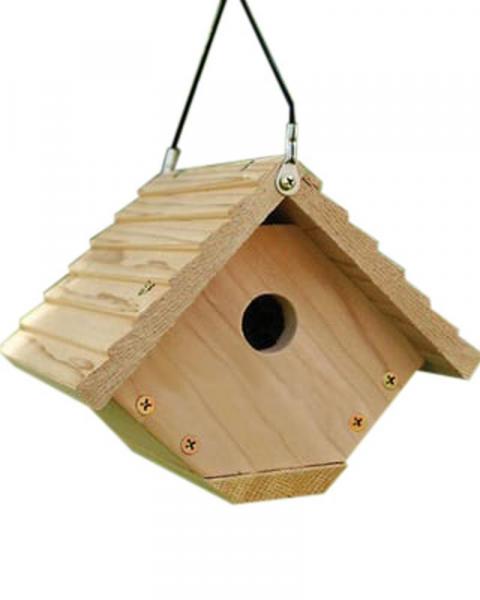 Wren Traditional House