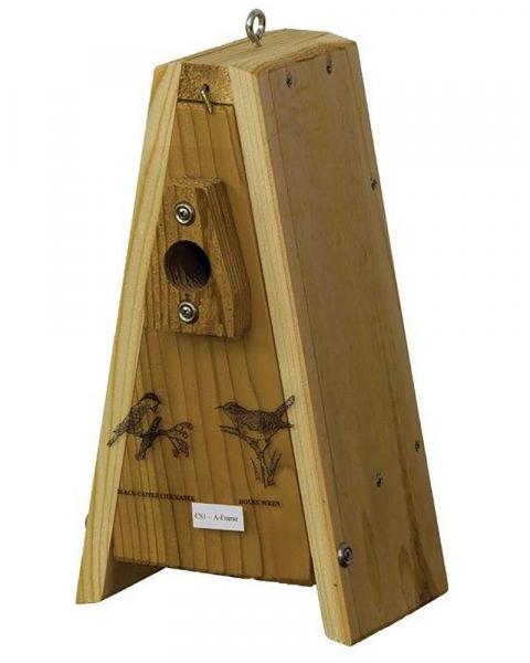 Wren A-Frame House