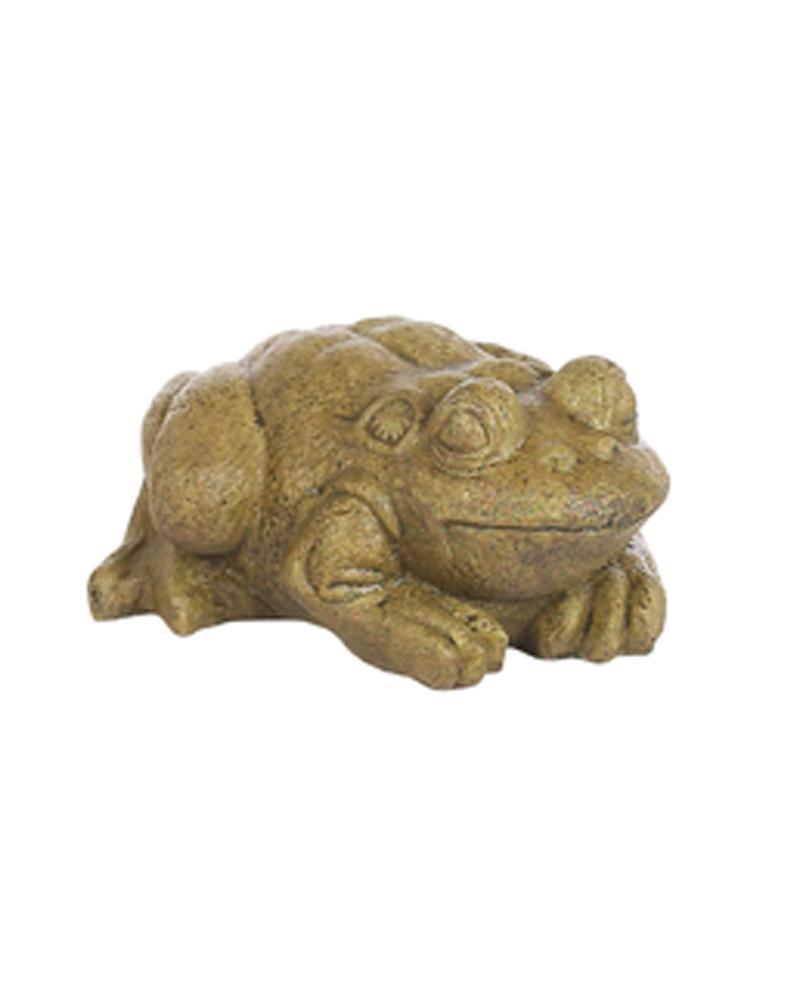 Medium Bullfrog (Color May Vary)