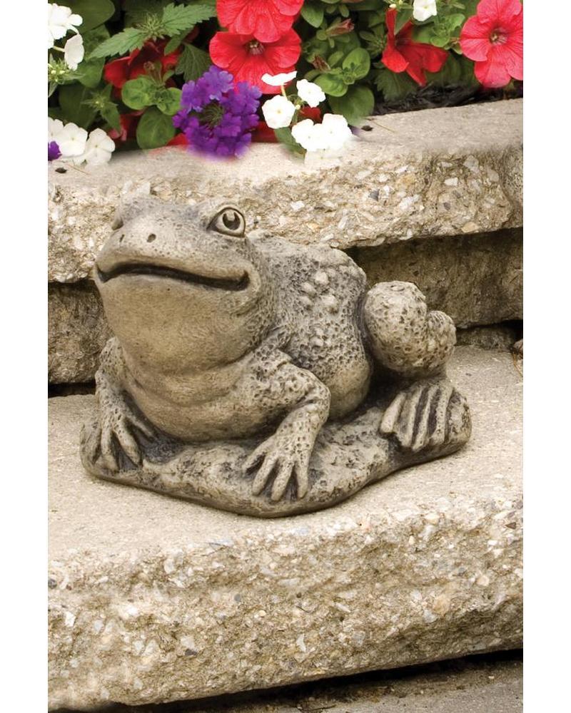 Harry The Frog