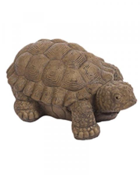 Small Walking Turtle (Color May Vary)