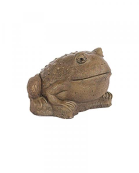 Medium Frog Sculpted Eyes (Color May Vary)
