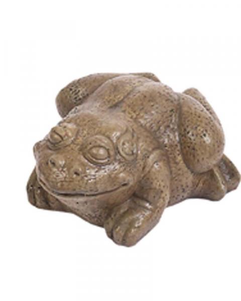 Small Bullfrog (Color May Vary)