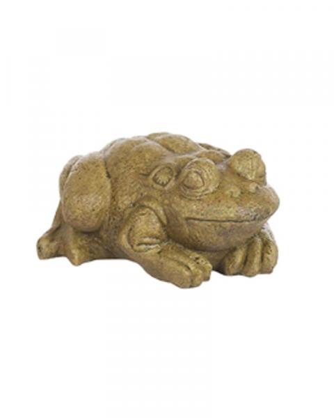 Medium Bullfrog (Color May Vary)