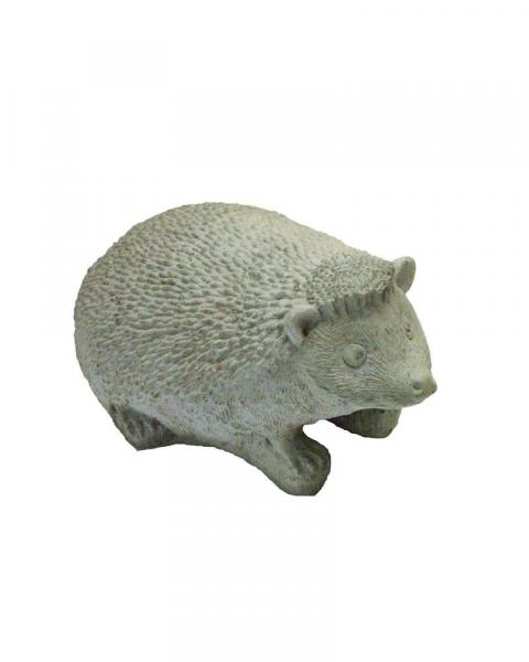 Hedgehog (Color May Vary)